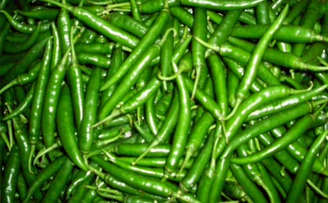 green-chillies export from Maharashtra India