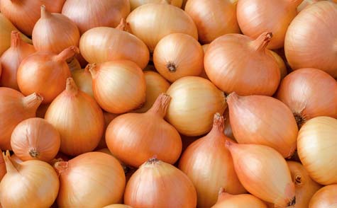 Onions export company Maharashtra India