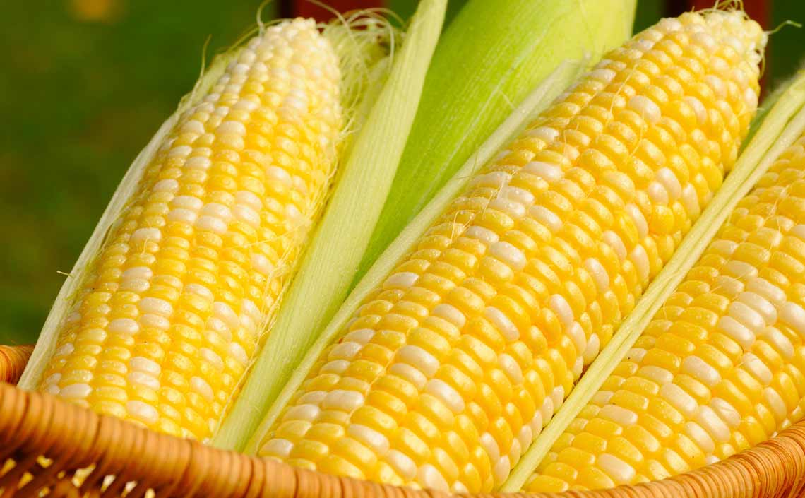 corn