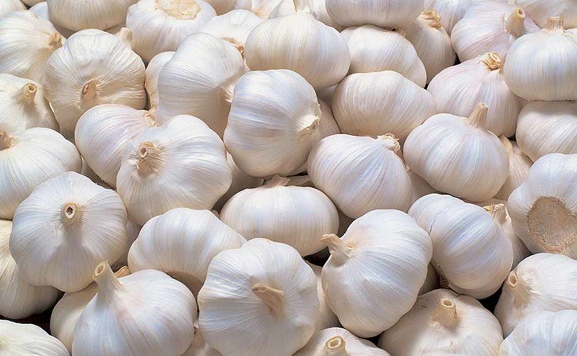 garlic