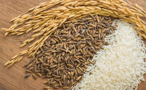 Rice export from India